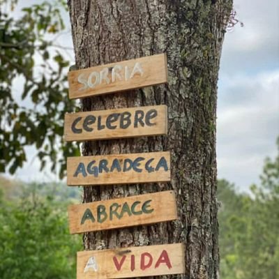 Eu sou amor e carinho constante,não paro por instante. Já tive noites mal dormidas, perdi pessoas muito queridas, Mas continuo vivendo e aprendendo.