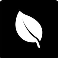 Hi!👋🏾We are Kungula | We facilitate efficient, transparent, and reliable trade of agriproducts between farmers and traders in urban food markets.