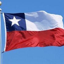 btorressaavedra's profile picture. Chilena, admiro a quien ha sido patriota desde el corazón , mamá de 5 hijos, con una linda familia, me gusta leer, conversar, la buena música y la orfebrería