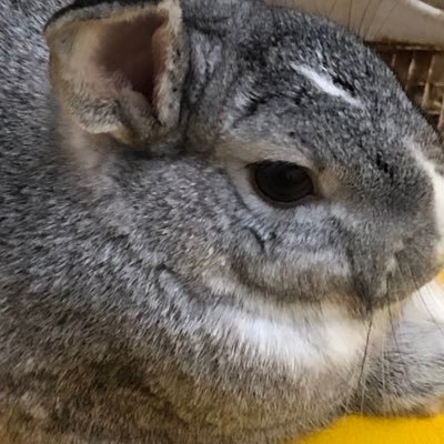 yIddbQnm5BDFin0's profile picture. 