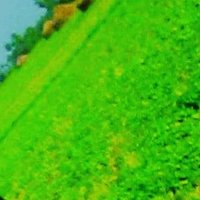 chakravarthi (@3paruchuri) 's Twitter Profile