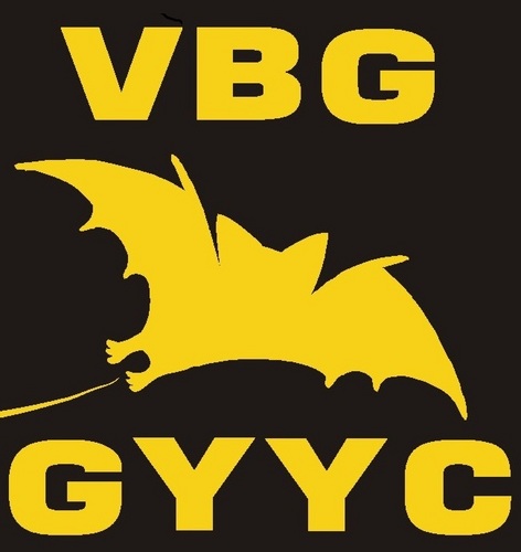 Valleys Bat Group are a voluntary organisation based in South Wales. We cover Blaenau Gwent, Caerphilly, Merthyr Tydfil, RCT & Torfaen.