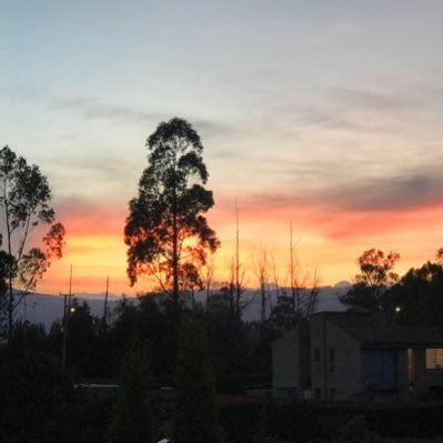 gavalval's profile picture. 