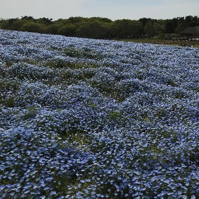 虐待死に殺人罪の適用を‼️ 警察全件共有👮‍♀️虐待は犯罪です 選択的共同親権👨‍👩‍👦あくまで選択的です 虐待専門機関設置🏢非行児童と分けてください 無言フォロー&しばしば暴言失礼します🙇‍♀️ 関西育ち/岡山在住/アラフォー/結愛ちゃんを忘れないで