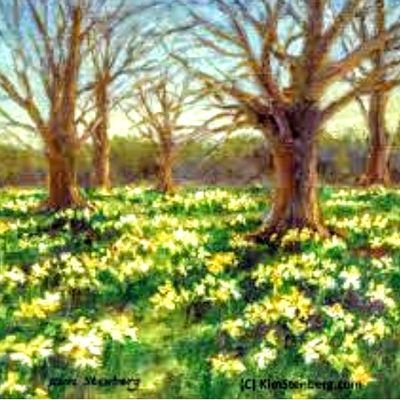 Daffodi37351887 Profile Picture