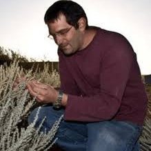 Plant ecophysiologist @bidrBGU, interested in adaptation and acclimation of desert plants to abiotic stresses and roots dynamics.