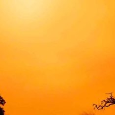 RaynaPop's profile picture. 🧠🌪