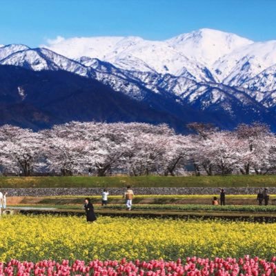 A20170213's profile picture. 