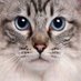 D (@act1on3) Twitter profile photo D (@act1on3) Twitter profile photo