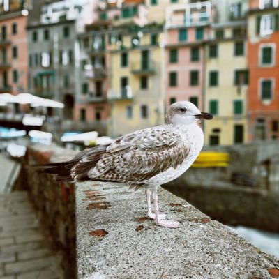 Anna240401's profile picture. 