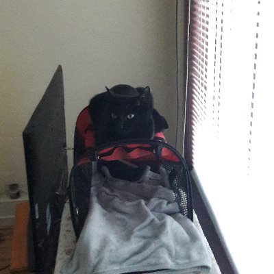 YoungT Profile