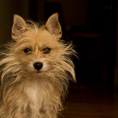 wycks_s's profile picture. Surfing on Sine Waves. 🦇🔊 https://t.co/NUnS8X37GT