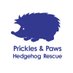 Prickles and Paws (@Prickles_Paws) Twitter profile photo