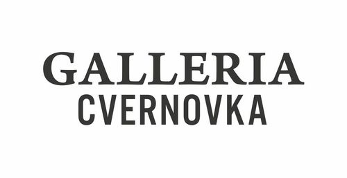 (* 01.04.2011 – † 01.04.2013)
Galleria Cvernovka od roku 2013 už nefunguje ako eventový priestor.