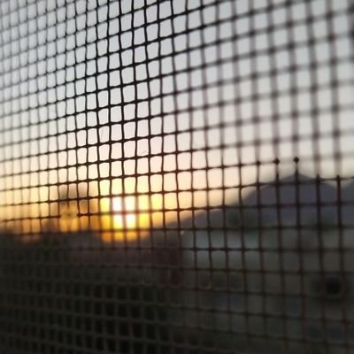 leo63be's profile picture. 