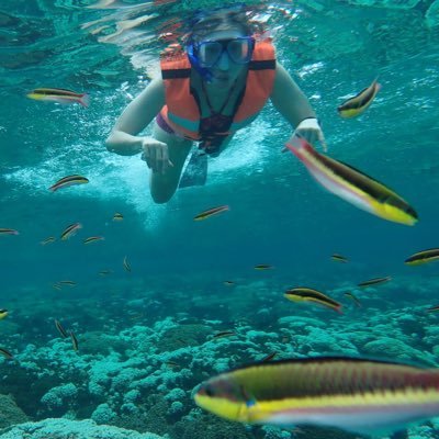 Anyx_'s profile picture. 