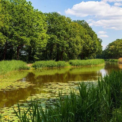 Albergen_NL's profile picture. Dit Twitter account retweet automatisch alle tweets over Albergen, een dorp met +/-3.600 inwoners in Twente!