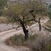 naturaleza (@juanjos48325573) Twitter profile photo naturaleza (@juanjos48325573) Twitter profile photo