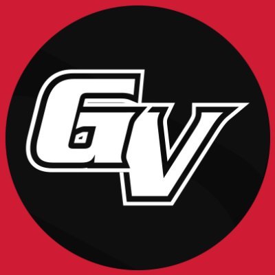 GVUEsports Profile Picture