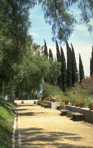 A comprehensive landscape gardening service for commercial and private clients