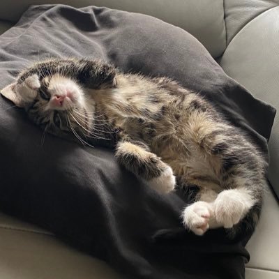 Ralf15042875's profile picture. 