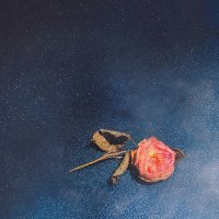 Joyclub (@joyclub_music) 's Twitter Profile