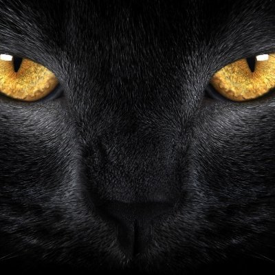 Shaunemacgorman's profile picture. 