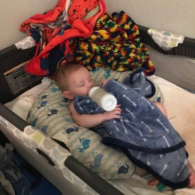 WillieT22144256's profile picture. Love  dad and mom dad dogs