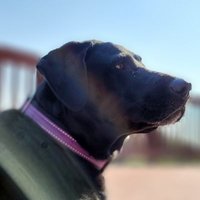 ππ©΅ Bomb-ass Ma π©΅π (@bossassma) 's Twitter Profile