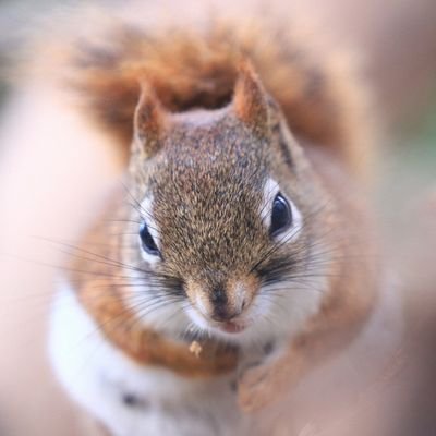 さぢさんのプロフィール画像