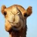 Onta Laut (@arababalabal) Twitter profile photo Onta Laut (@arababalabal) Twitter profile photo