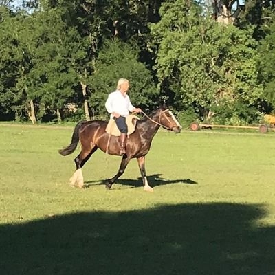 Argentina desquiciada y al borde de un ataque de nervios