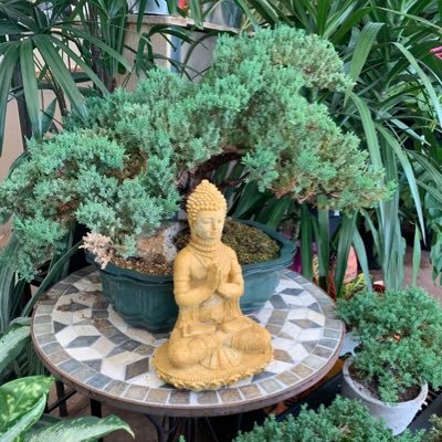 rach3ldav1s's profile picture. 🌙111