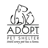 ADOPT Pet Shelter(@ADOPTPetShelter) 's Twitter Profile Photo