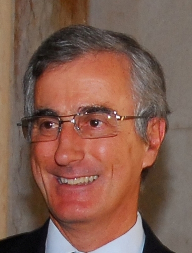 afonsecamarinha's profile picture. 