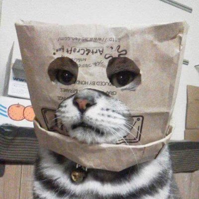 JrEli_'s profile picture. 