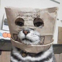 Eli. (@jreli_) 's Twitter Profile Photo Eli. (@jreli_) 's Twitter Profile Photo