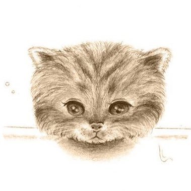 chu_lip0215's profile picture. 動物や花、スイーツをメインにイラストや雑貨など制作しています💐淡くて優しい雰囲気が好きです🪽🫧◆個展履歴：名古屋→金沢→吉祥寺 ◆イラスト依頼：https://t.co/uT7EUtdET4(無断使用・転載NG)