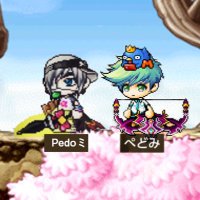 Pedoミ (@pedodeha) 's Twitter Profile