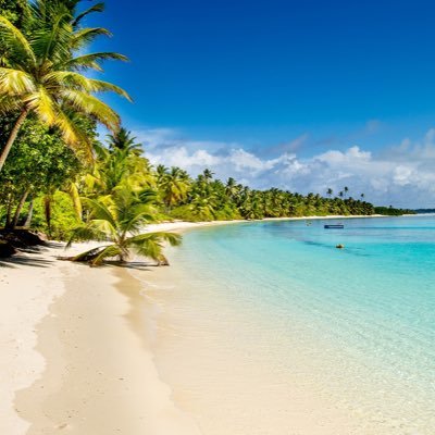 RoseyGuerra's profile picture. Wife, mom, educator. Tweets are my own