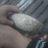 iman1291's profile image