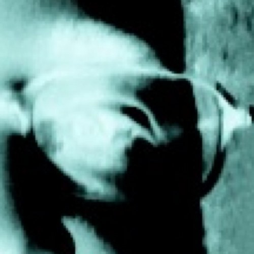 Pabuthe1st's profile picture. just a guy with a different look at everything