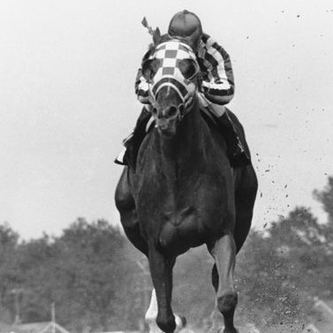 robert_perugini's profile picture. 