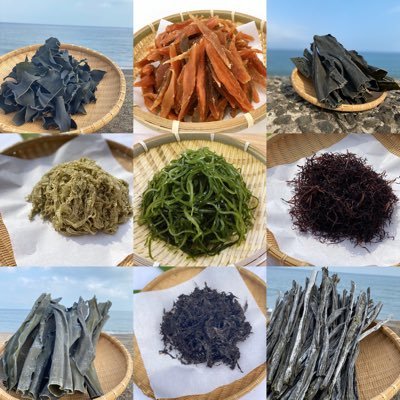函館市の昆布漁師の町にある 函館えさん昆布の会(株)さいとう⭐️Amazon・ヤフー楽天にて昆布・海藻・珍味など販売中❣️ 直売所はわけあり品のみ販売 営業時間平日9時〜16時(定休日は土・日・祝)https://t.co/leVyYj69zXにてわけあり販売中です🥰よろしくお願いします