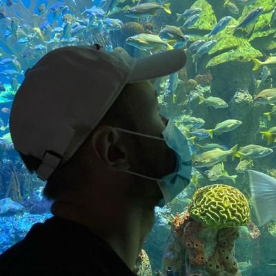 Former Overwatch pro player, coach, GM
Discord: Mineral#7506