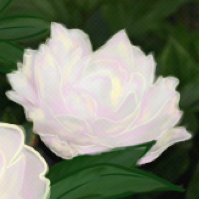 芍薬 cdccmi5grcrtm Twitter 芍薬 cdccmi5grcrtm Twitter
