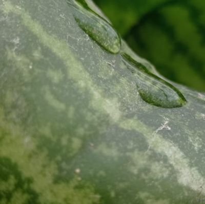 eliskarhotmail1's profile picture. Observer