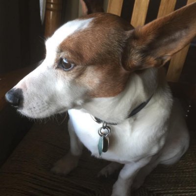 Enjoy a nice cup of Earl Grey, all around chill dude, doggo lover. He/Him