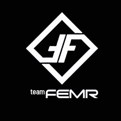 Team FEMR