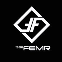 Team FEMR (@_teamfemr) 's Twitter Profile Photo